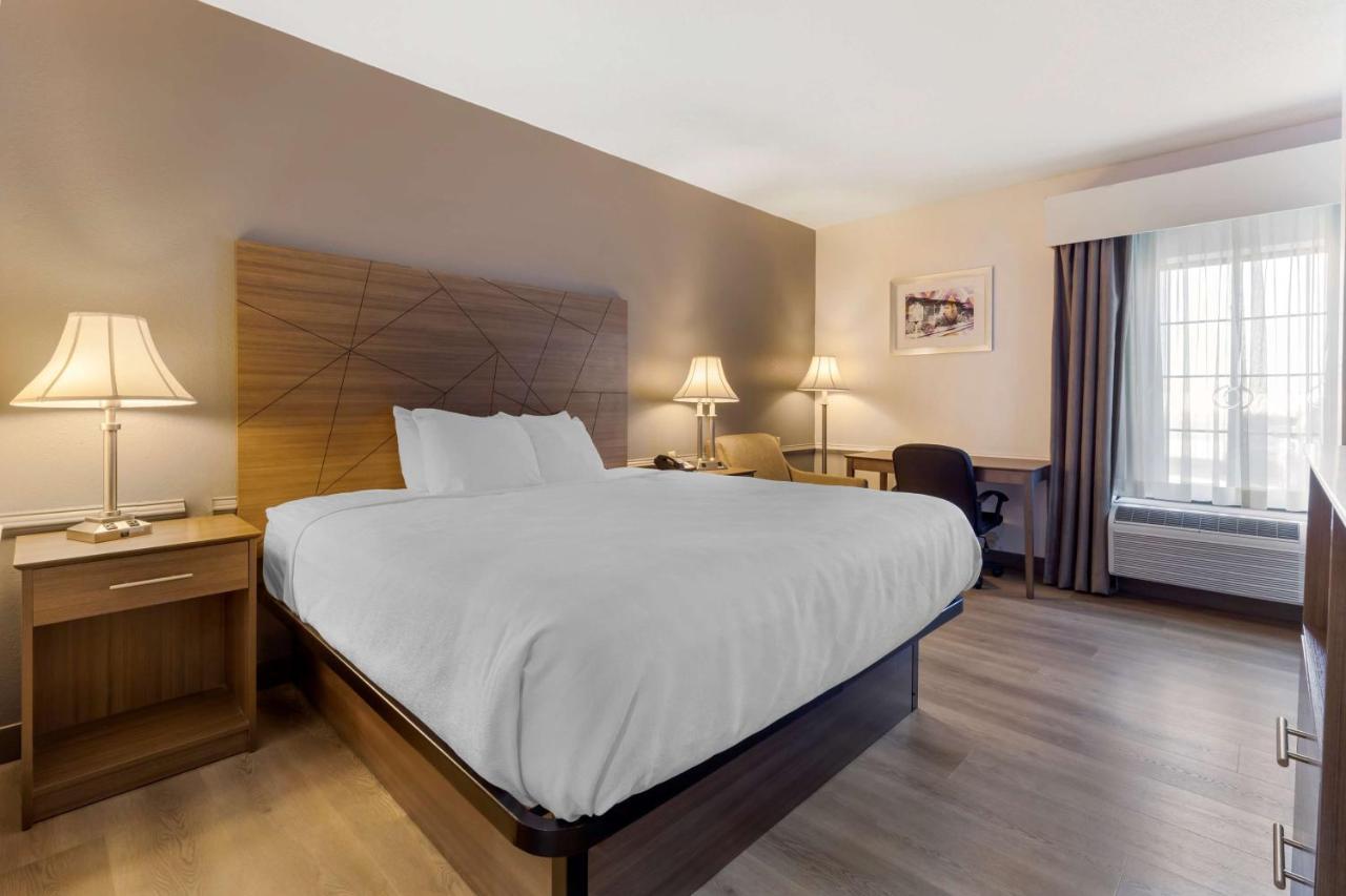 Best Western Plus South Hill Inn Екстер'єр фото